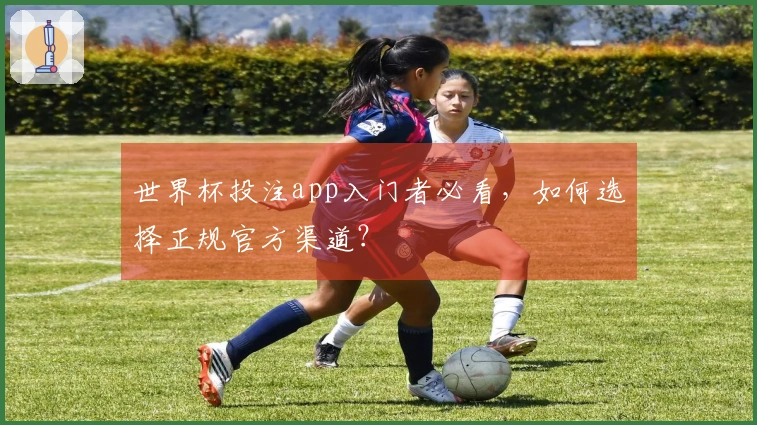 世界杯投注app入门者必看，如何选择正规官方渠道？