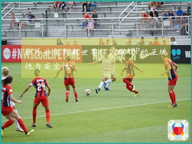 新手如何判断世界杯买球APP的正规性与安全性？