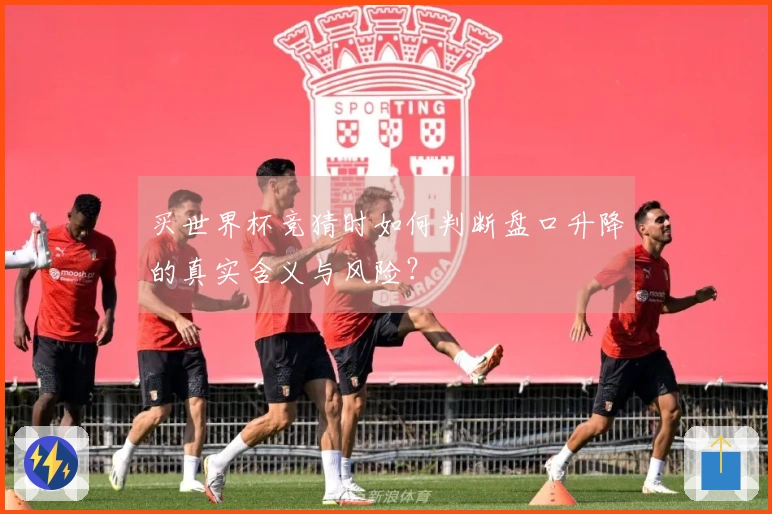 买世界杯竞猜时如何判断盘口升降的真实含义与风险？