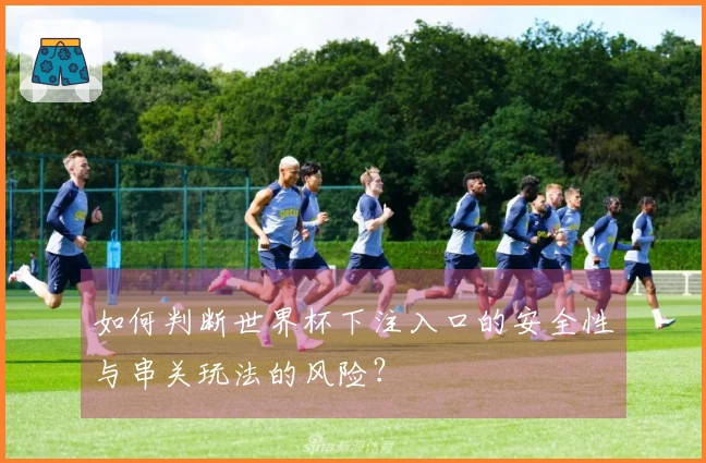 如何判断世界杯下注入口的安全性与串关玩法的风险？
