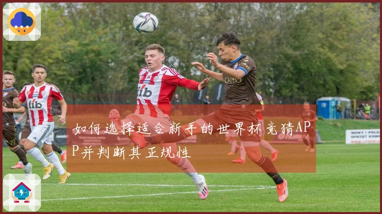 如何选择适合新手的世界杯竞猜APP并判断其正规性