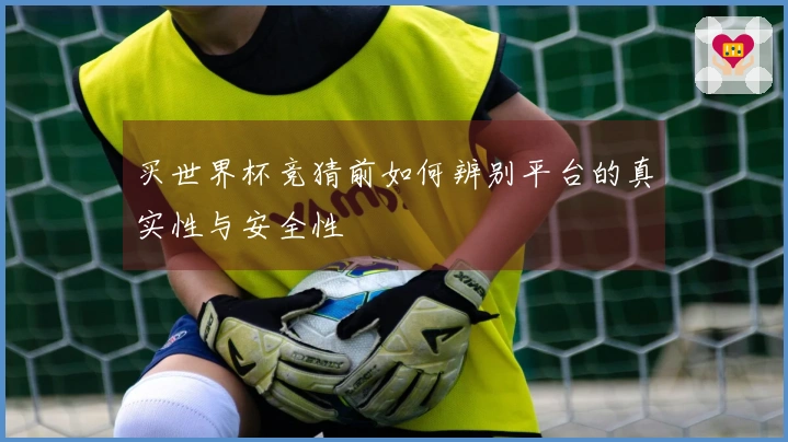 买世界杯竞猜前如何辨别平台的真实性与安全性