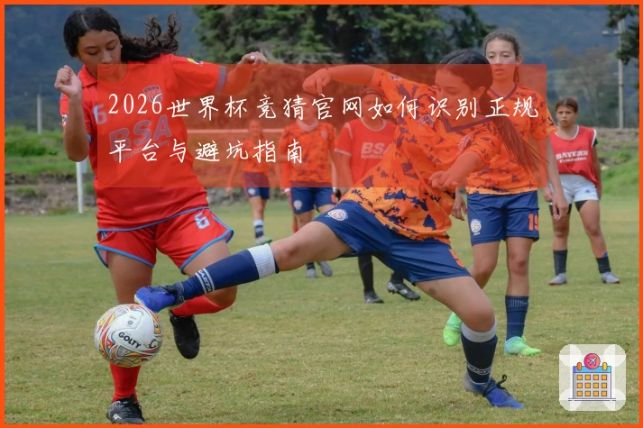 2026世界杯竞猜官网如何识别正规平台与避坑指南