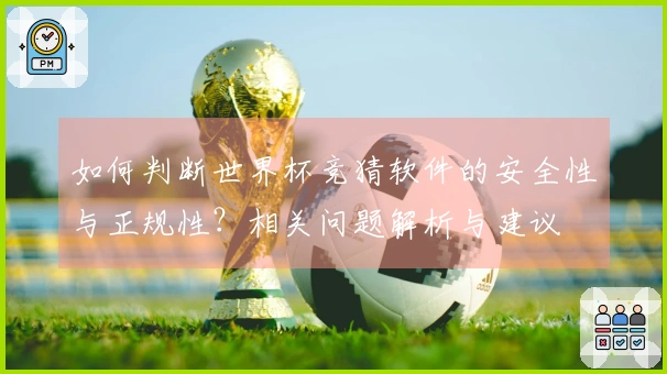 如何判断世界杯竞猜软件的安全性与正规性?相关问题解析与建议