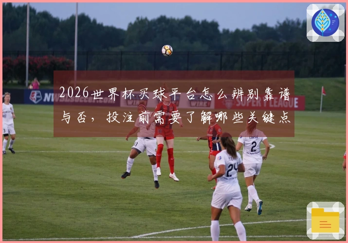 2026世界杯买球平台怎么辨别靠谱与否，投注前需要了解哪些关键点？