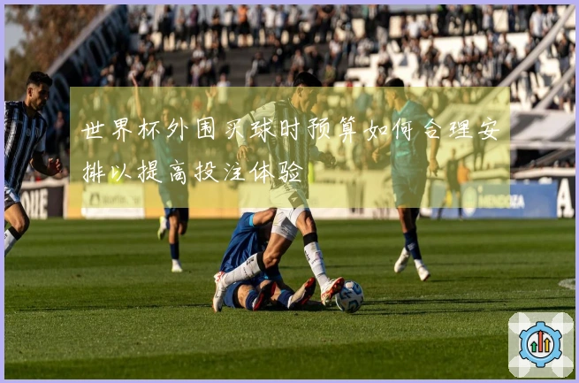 世界杯外围买球时预算如何合理安排以提高投注体验