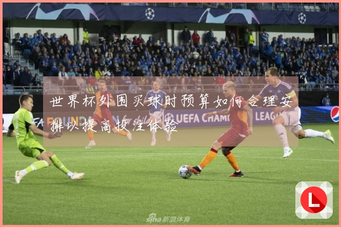 世界杯外围买球时预算如何合理安排以提高投注体验