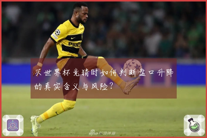 买世界杯竞猜时如何判断盘口升降的真实含义与风险？