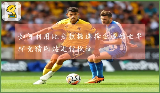 如何利用比分数据选择合适的世界杯竞猜网站进行投注