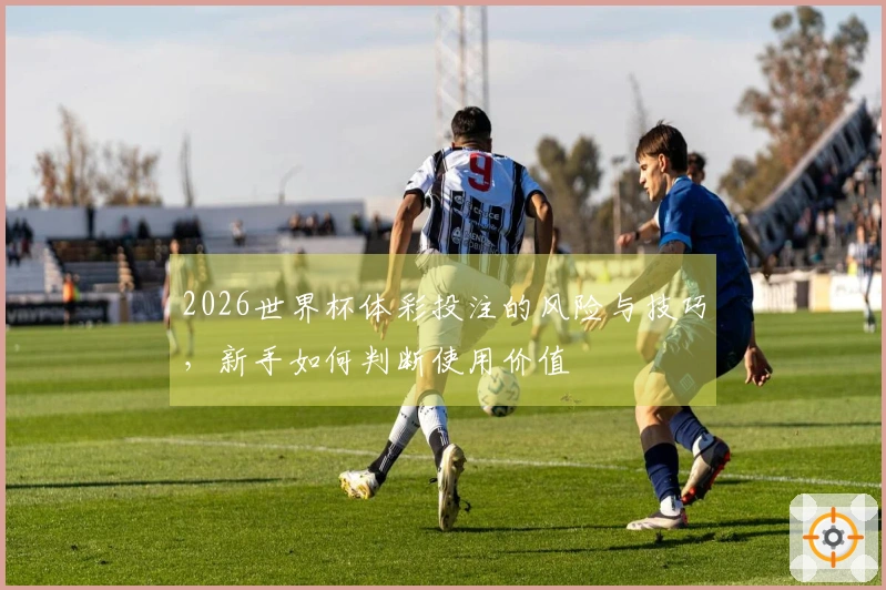 2026世界杯体彩投注的风险与技巧，新手如何判断使用价值