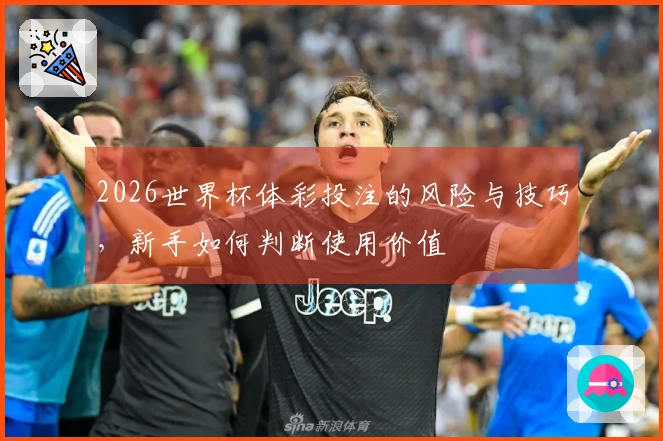 2026世界杯体彩投注的风险与技巧，新手如何判断使用价值