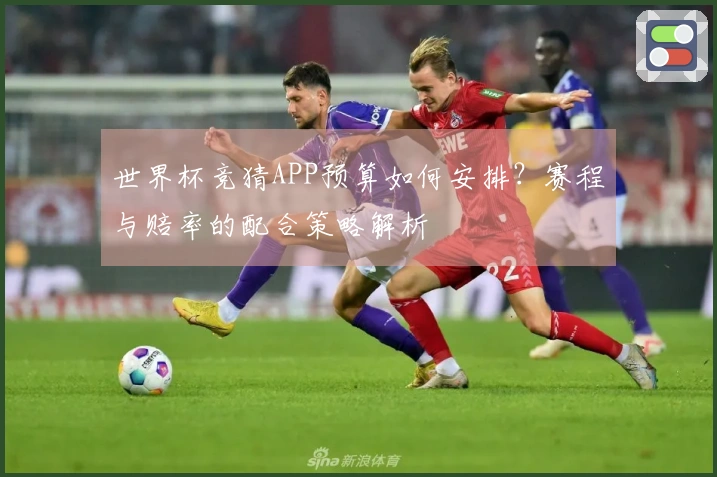 世界杯竞猜APP预算如何安排？赛程与赔率的配合策略解析