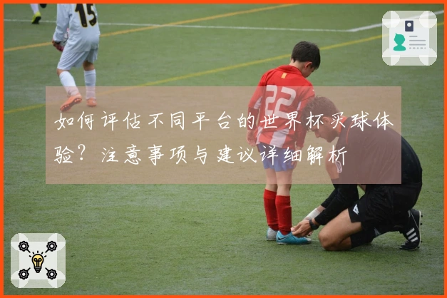 如何评估不同平台的世界杯买球体验？注意事项与建议详细解析
