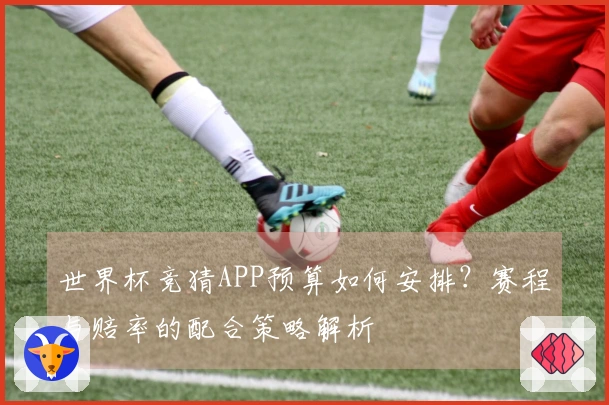 世界杯竞猜APP预算如何安排？赛程与赔率的配合策略解析