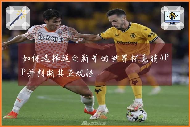 如何选择适合新手的世界杯竞猜APP并判断其正规性