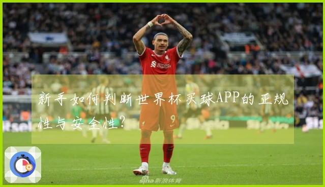新手如何判断世界杯买球APP的正规性与安全性？