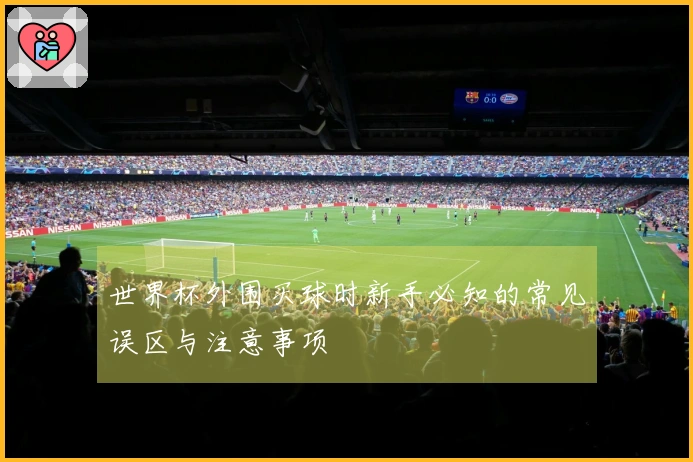 世界杯外围买球时新手必知的常见误区与注意事项